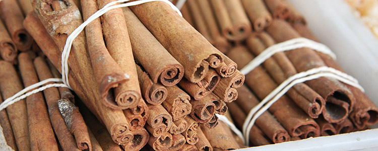 For E. Coli Outbreaks, Cinnamon Spice Makes Everything Nice